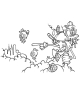 Graffiti Coloring Book vol.2